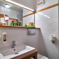 Single Room with Terrace