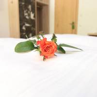 Classic Double Room with Balcony