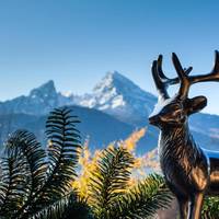Double Room with Mountain View