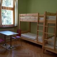 Bed in 6-Bed Dormitory Room