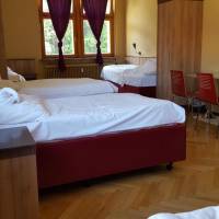 Bed in 5-Bed Dormitory Room