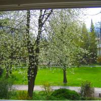 Apartment with Garden View