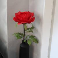 Apartment Novanus
