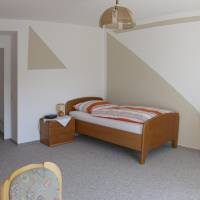Single Room with Terrace