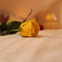 Deluxe Double Room with Shower