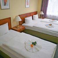 Triple Room with Shared Bathroom
