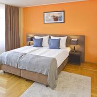 Comfort Studio Apartment