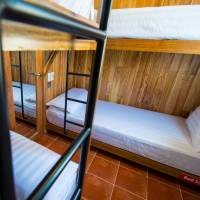 Bed in 4-Bed Female Dormitory Room (Cabin)