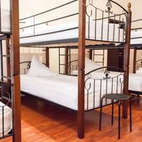 Bunk Bed in Mixed Dormitory Room