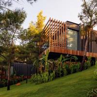 Forest Room with Sea View