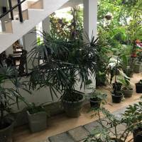 Double or Twin Room with Garden View