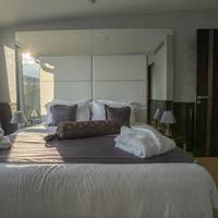 Deluxe Executive Suite with Terrace