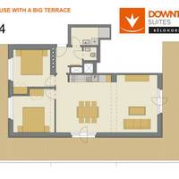 Penthouse with terrace