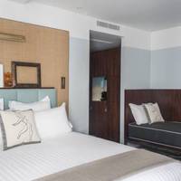 Deluxe Double Room with Pool Access