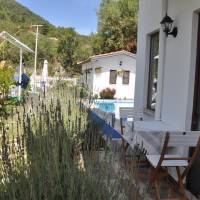 Double Room with Pool View