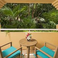 Junior Suite (1 Adult)