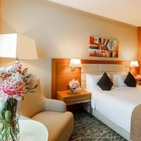  Deluxe Double or Twin Room - Non Smoking