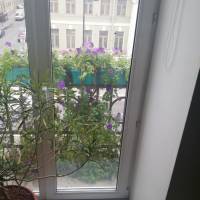 Апартаменты