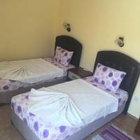 Studio with Sofa Bed