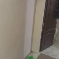 Двухместный номер с 1 кроватью