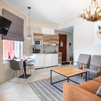 Deluxe Suite with Sauna