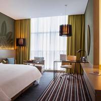 King Premium Room