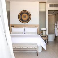 Ocean View Terrace King Room