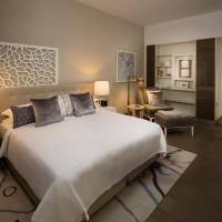 Deluxe One Bedroom Apartment