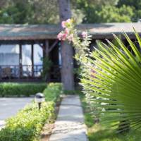 Standard Bungalow