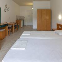 Large Double or Twin Studio
