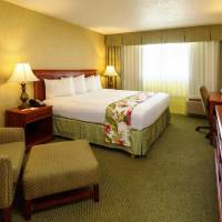 Standard Room with King Bed - Non-Smoking