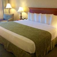 Queen Room with a Queen Bed- Non-Smoking