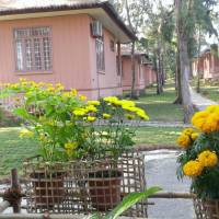 Superior Bungalow with Garden View