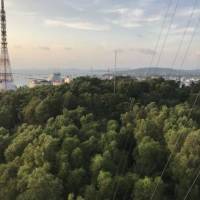 Одноместный