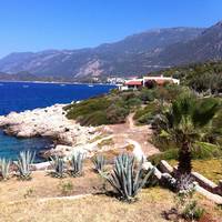 Villa - Beach Front