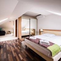 Standard Apartment - Attic