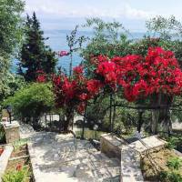 Cottage with Garden/Sew View