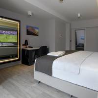 Executive Double Suite