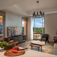 One-Bedroom Executive Apartment