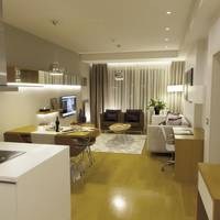 Deluxe One-Bedroom Apartment
