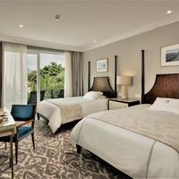 Deluxe Double/Twin Room with Balcony
