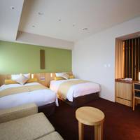 Deluxe Twin Room - Non-Smoking