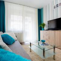 Deluxe One-Bedroom Apartment