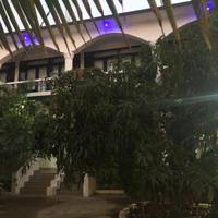 Deluxe Double or Twin Room with Balcony