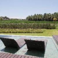 One Bedroom Villa, 1 Bedroom Villa, 1 King, Private pool
