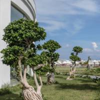 Double or Twin Room with Sea View