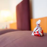 Comfort Single Room