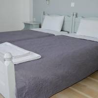 Standard Twin Room with Sea View