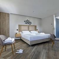 Deluxe Open Plan Suite