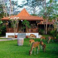 One-Bedroom Forest Villa with Exclusive Benefit
